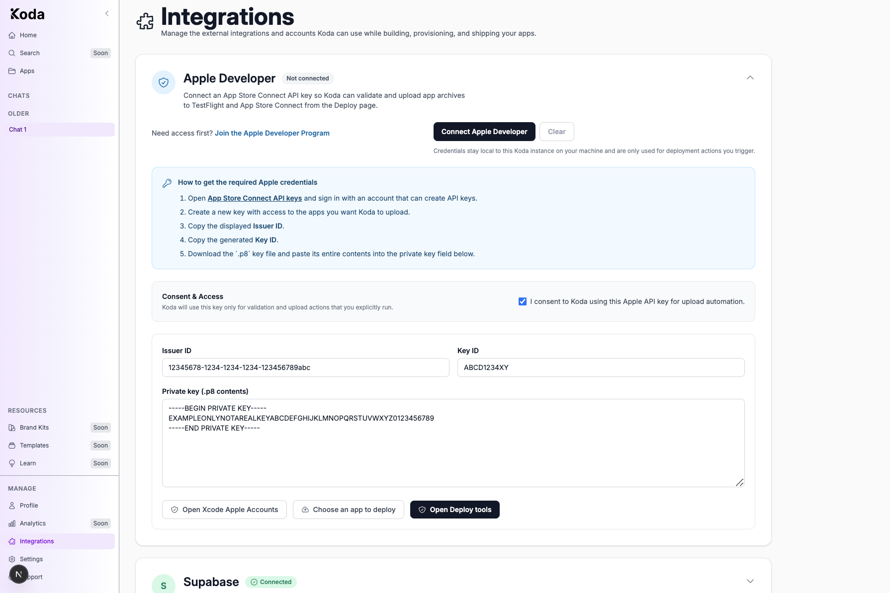 Expanded Apple Developer integration with Consent & Access, Issuer ID, Key ID, and private key fields.